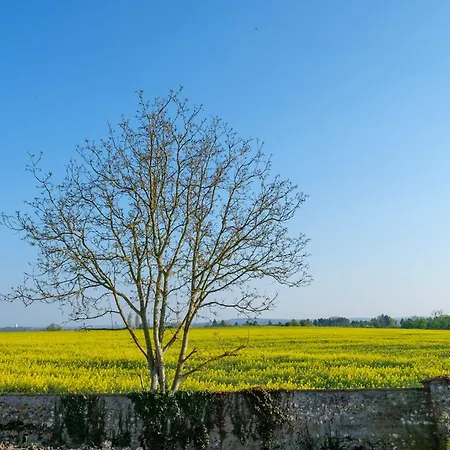 Le Domaine De Richebourg - Pierres D'histoire Holiday home Richebourg (Yvelines)