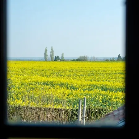 Le Domaine De Richebourg - Pierres D'histoire Holiday home