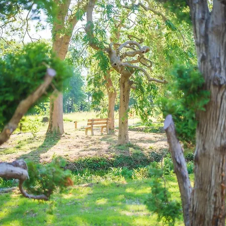 Le Domaine De Richebourg - Pierres D'histoire Richebourg (Yvelines)